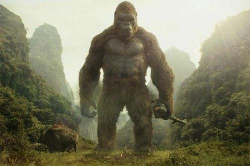 Bom tấn triệu USD 'Kong: Skull Island' tạo cơn sốt về vẻ đẹp Việt Nam