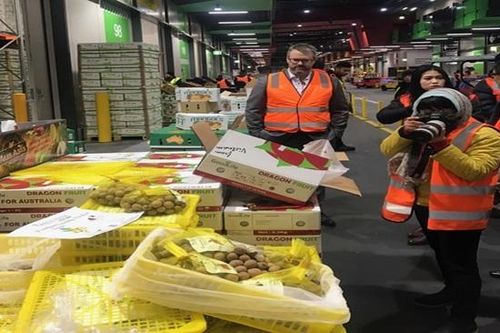 Phi vụ giải cứu lô nhãn Việt đầu tiên tại Australia và các lưu ý cho doanh nghiệp