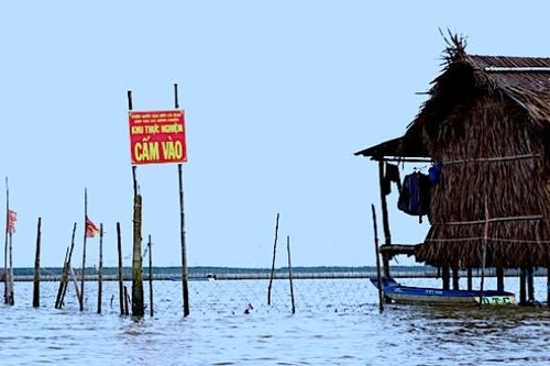 Khởi tố vụ án xảy ra tại Vườn quốc gia Mũi Cà Mau