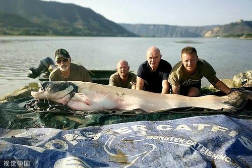 Cần thủ 'cân não' khống chế 'thủy quái' trê trắng trăm kg