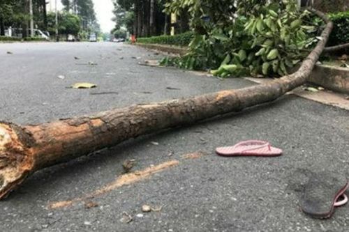 Nữ sinh tử vong trên đường đi ôn thi học sinh giỏi