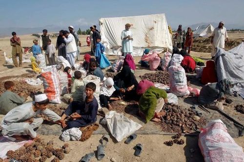 Bức thư tố cáo tội lỗi của Mỹ ở Afghanistan