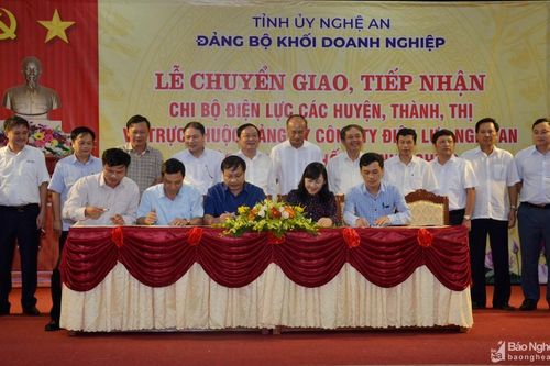 Đảng ủy Khối Doanh nghiệp tỉnh tiếp nhận 19 tổ chức đảng từ Điện lực các huyện, thành, thị