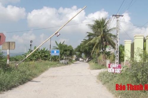 Huyện Tĩnh Gia: 5 xã tái phát dịch tả lợn Châu Phi