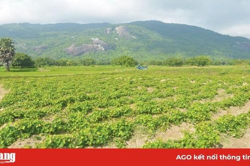 Du ngoạn núi non
