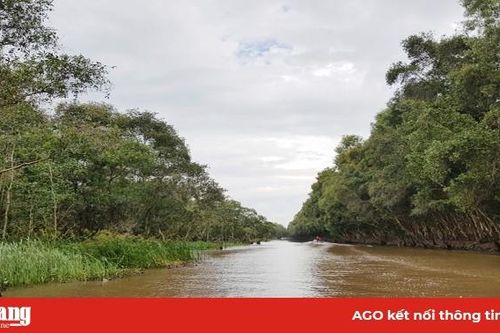Ứng phó lũ lên nhanh