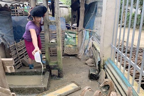 Chuyển hướng chăn nuôi, ổn định nguồn cung thực phẩm