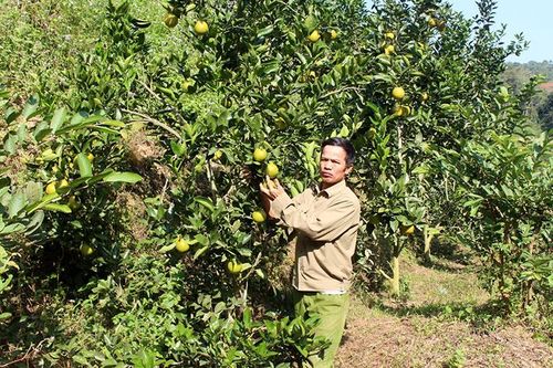Lan tỏa phong trào thi đua 'Cựu chiến binh gương mẫu'