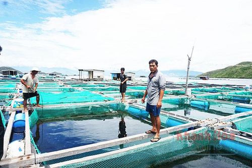 Mỏi mòn chờ khoanh nợ