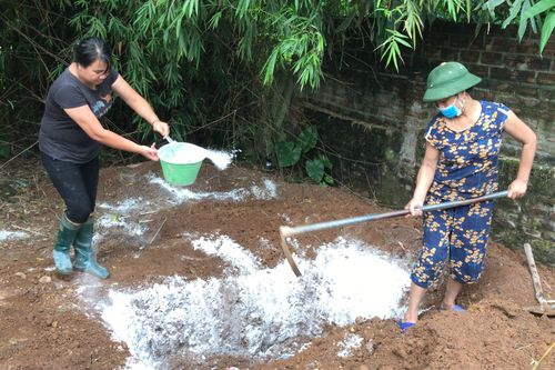 15 xã công bố tái phát dịch tả lợn châu Phi