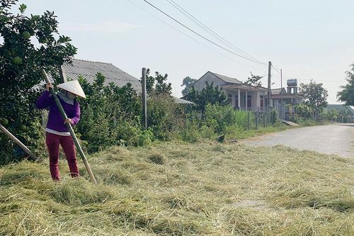 Nỗi lo mất an toàn giao thông khi mùa gặt