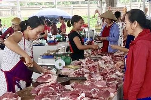 Giá thịt lợn tiếp tục tăng cao