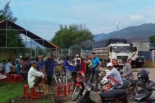 Nhà máy cồn Đại Tân xin lỗi về sự cố môi trường