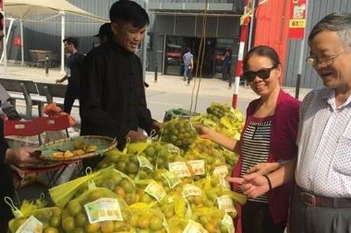 Tuần lễ giới thiệu nông sản sạch tỉnh Bắc Kạn tại Hà Nội