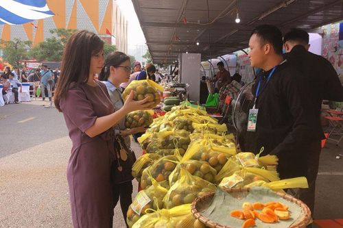 Khai mạc Tuần lễ nông sản sạch Bắc Kạn tại Hà Nội