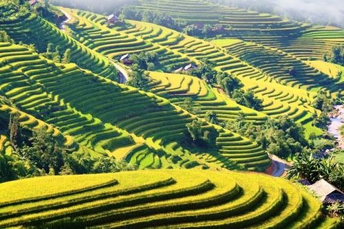 'Qua những miền di sản ruộng bậc thang' tại Hà Giang