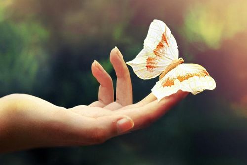 Bí ẩn vận thế con người qua đôi bàn tay