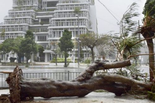 Bão lớn đổ bộ Nhật Bản, gần 300 chuyến bay bị hủy