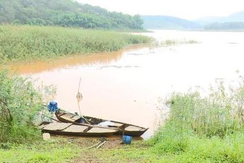Chèo thuyền ra hồ, 3 học sinh đuối nước tử vong