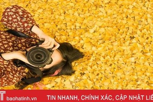 Lý do bạn dễ mắc bệnh vào mùa thu