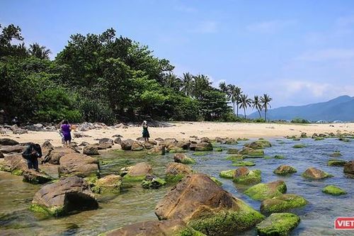 Đà Nẵng sẽ có dịch vụ 'trải nghiệm bình minh trên vịnh Nam Ô bằng thuyền thúng'