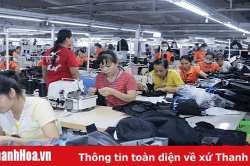 Huyện Cẩm Thủy đẩy mạnh phát triển công nghiệp, tiểu thủ công nghiệp