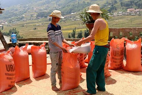 Lao Chải phát triển nông nghiệp theo lời Bác dạy