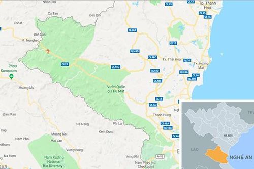 Bác sĩ gắp con vắt trong mắt bệnh nhi