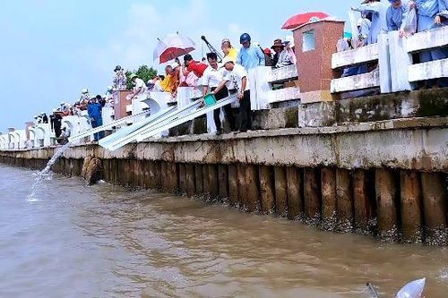 Thả giống tái tạo nguồn lợi thủy sản ở Cà Mau