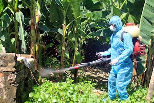 Tiền Giang: Hơn 3.300 trường hợp sốt xuất huyết, tăng 195% so với cùng kỳ