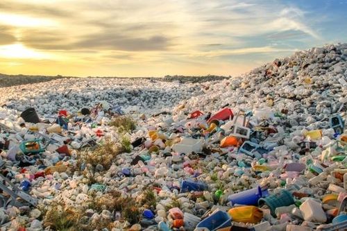 Top đầu thế giới, 'thành tích' đáng lo ngại của Việt Nam