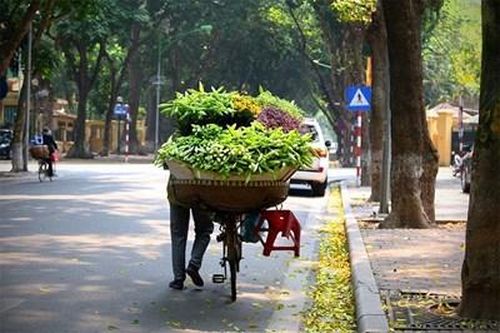 Hà Nội sáng sớm có sương mù, trưa chiều nắng ấm
