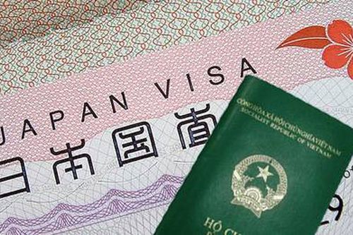 Nghệ An: 47 trường hợp công dân vi phạm pháp luật Nhật Bản bị trục xuất về nước