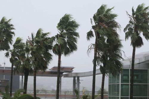 Mưa lớn, gió lốc do bão Tapah, Hàn Quốc phải hủy hàng trăm chuyến bay