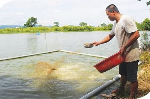 Quyết Tâm xưa, Kinh Kệ nay