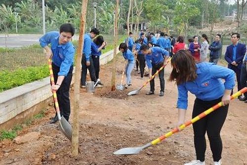 Tuổi trẻ Trường Đại học Hùng Vương: Tích cực tham gia các hoạt động vì cộng đồng