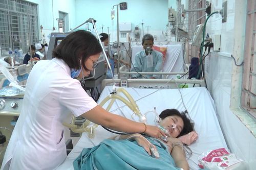10 người nhập viện cấp cứu vì ong đốt