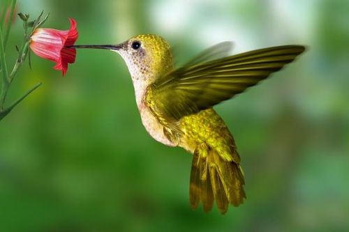 Tử vi ngày 24/9/2019: Tuổi Tý bước tiến quan trọng, tuổi Dậu biến cố bất ngờ