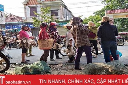 Đến hẹn, chim trời lại bày bán la liệt ở chợ quê Hà Tĩnh
