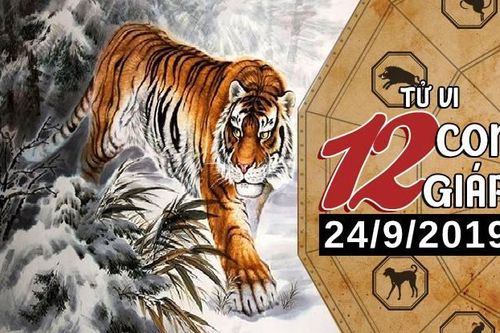 Xem tử vi thứ 3 ngày 24/9/2019 của 12 con giáp: Tý tài chính dồi dào, Tuất dễ vướng xích mích