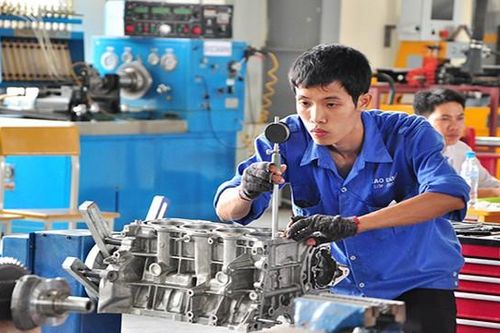 Phải để doanh nghiệp thấy mình được lợi khi tham gia đào tạo nghề