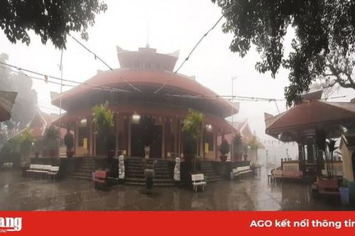Trải nghiệm mưa rừng núi Cấm