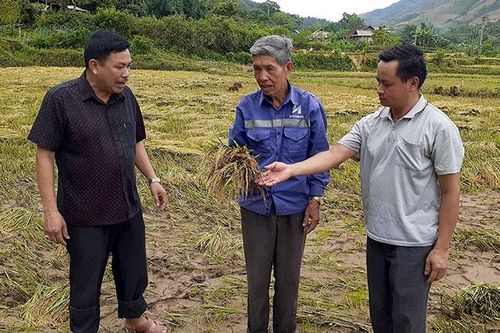 Ðiện Biên Ðông nâng cao năng lực cán bộ cấp cơ sở