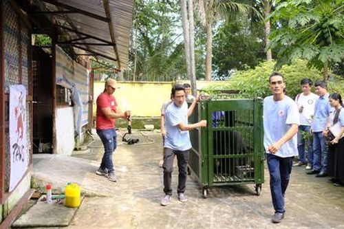 Four Paws thực hiện thành công chuyến cứu hộ lớn nhất trong năm
