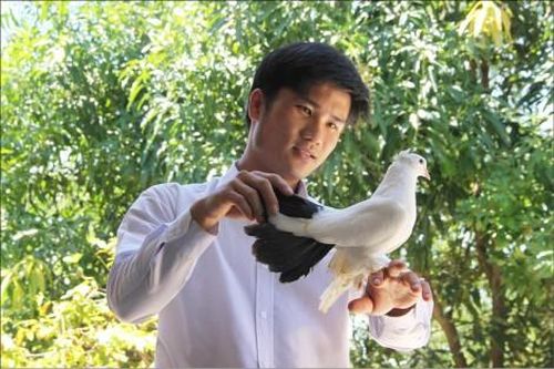 Kinh tế Kinh tế Tinh tế với bồ câu cảnh