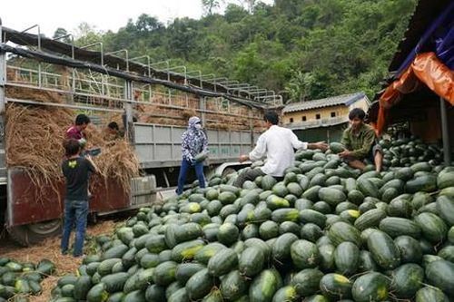 Không có thị trường nào dễ tính