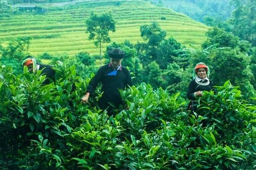Ấm no, hạnh phúc là cơ sở bảo đảm quyền con người