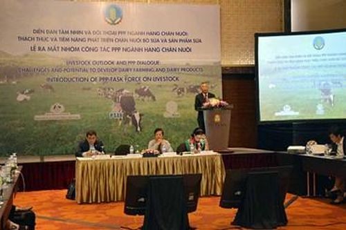 Đẩy mạnh liên kết để chăn nuôi bò sữa phát triển bền vững