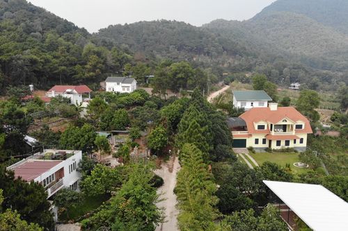 Sai phạm đất rừng Sóc Sơn: Sau kỷ luật cán bộ có xem xét trách nhiệm hình sự?