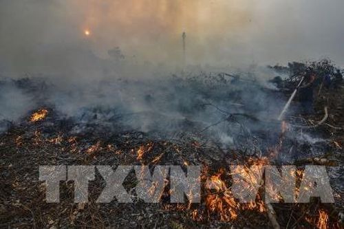 Indonesia: Hơn 900.000 người bị bệnh về đường hô hấp do cháy rừng